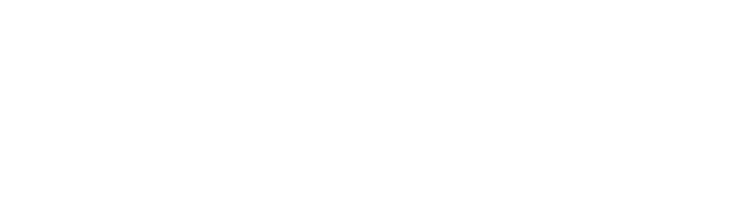 bangerangintelligence.com